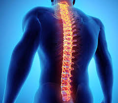 Besides chronic pain in the thoracic area, located on either side of the spinal cord. Radiculopathy Cervical Thoracic Lumbar Pinched Nerve