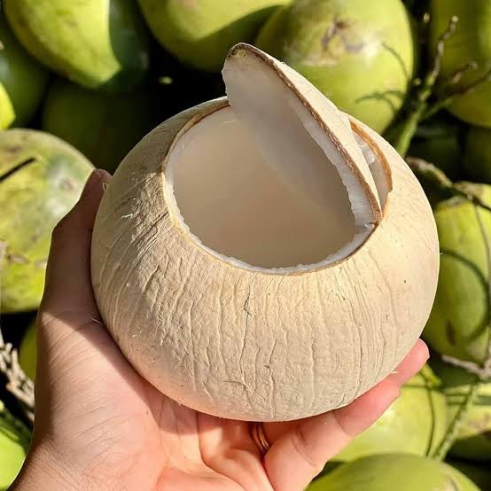 Dừa Trọc Mini Bến Tre (10 trái) - Sunrisefuits