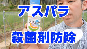 5 25 茄子 ピーマン葉面散布とアスパラ防除 382 Youtube