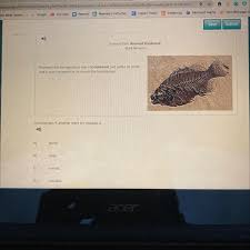 A container for a set of separate files (or subdocuments). In Paragraph 4 Another Word For Colossal Is A Guilty B Huge Normal D Valuable Brainly Com