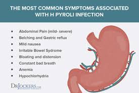 Pylori clarithromycin resistance is known to be <15% and in patients with no previous history of macrolide exposure for any reason (conditional recommendation; Treatment Of H Pylori Infection By Dr Radhika A Md Lybrate
