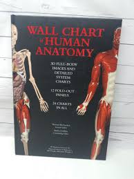 Details About Wall Chart Of Human Anatomy 3d Full Body Images 24 Charts 12 Fold Out Panels