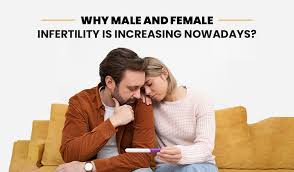 Image result for Female Infertility