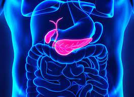 Maybe you would like to learn more about one of these? Ù…Ø§ ÙŠØ¬Ø¨ Ø£Ù† ØªØ¹Ø±ÙÙ‡ Ø¹Ù† Ø³Ø±Ø·Ø§Ù† Ø§Ù„Ø¨Ù†ÙƒØ±ÙŠØ§Ø³ Ø£Ù†Ø§ Ø£ØµØ¯Ù‚ Ø§Ù„Ø¹Ù„Ù…