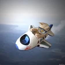 Cat Pilot Flying A Plane Google Search Cats Pilot Animals