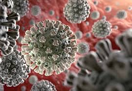 Real time dashboard, world maps, charts, news. Coronaviruses Have Been Around For Centuries What Differentiates Covid 19 Consult Qd