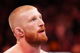 Lavar Johnson vs. Brendan Schaub rebooked for UFC 157