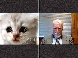 I can see that, the judge responds before kindly trying to walk the lawyer through fixing the filter issue. Lawyer Cat Filter Gif 17 Things From Kids Tv And Films That Were Actually Super Disturbing As A Child The Irish News Now I M Famous For Appearing In Court As