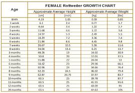 43 paradigmatic growth chart for 2 year old female