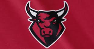 The chicago bulls are an american professional basketball team based in chicago. Chicago Bulls Concept Logo Sports Logo Design Logo Banners Bull Logo