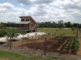 Tiny House Listings Tiny Houses For Sale And Rent Off Grid Tiny House House With Land Small House Exteriors