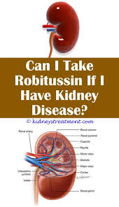 Pin On Kidney Disease Treatment