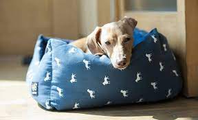 These cot style dog beds are popular in pet shelters and rescues. 7 Best Heated Dog Beds 2021 Reviews Buying Guide Safe Options