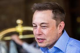 Elon Musk's wealth rockets: This is his net worth vs SA's dollar  billionaires