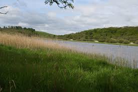 There are 2 names for this single river, the vedder river and the chilliwack river… both sides of the river offer great fishing. Quoile Townlands Of Ulster