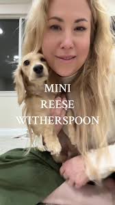 #stitch with @Reese Witherspoon I FOUND YOUR TWIN!!! She’s a minature  longhaired golden dachsund & she lives outside of Los Angeles. We call her  Hazel