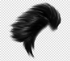 Backgrounds available in hd and 4k quality. Hairstyle Picsart Picsart Studio Editing Desktop Brown Hair Braid Film Transparent Background Png Clipart Hiclipart