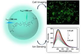View saman _abbaspour's profile on linkedin, the world's largest professional community. Synthesis Of Highly Fluorescent Water Soluble Polypyrrole For Cell Imaging And Iodide Ion Sensing Analytica Chimica Acta X Mol