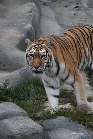  This Is My Home Kutipan Terbaik