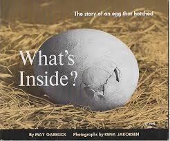 It is the first novel of five in the hatchet series. Free Vintage Children S Book What S Inside The Story Of A Egg That Hatched Children S Books Listia Com Auctions For Free Stuff