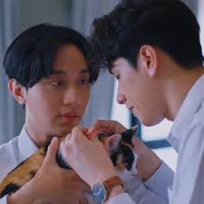 Our Love Don't Say No