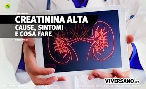Infatti se hai la creatinina alta le cause potrebbero essere un problema o malattia renale. Perche La Creatinina E Alta Cause Valori Normali Sintomi E Rischi