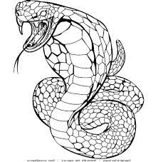 This snake — a king cobra — is the largest venomous snake in the world. Snake Coloring Pages Pdf Printable Free Coloring Sheets Snake Coloring Pages Animal Coloring Pages Coloring Pages