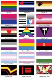 Please note this isn't a full list of all flags within the lgbtq community but are some of the most common. All Lgbt Flags Meaning Teenage Pregnancy