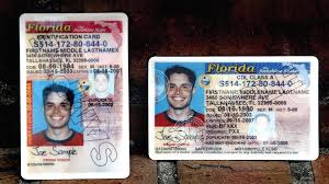 The new florida driver license and id card allows for the identification of sexual predators and sexual offenders with a blue identifier on the bottom right of florida state seal; Undocumented Immigrants May Be Able To Receive Florida Drivers Licenses