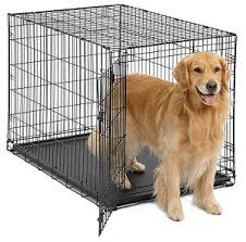 Best Dog Crates 2020 For Dog Lovers Reviews Buyers Guide