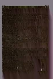 Image result for Ficus amadiensis