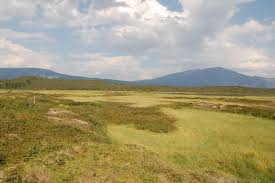 Aerial view of field site, stordalen mire. Cryospheric Sciences Climatic Drivers Of Permafrost Mounds In North American Peatlands