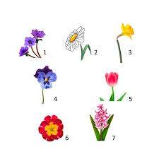 Molti sono usati come nomi di battesimo. Vocabolario Illustrato I Fiori