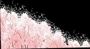 Cherry Blossom Cartoon 3370 1831 Transprent Png Free Download Pink Flower Blossom Cleanpng Kisspng We hope you enjoy our growing collection of hd images to use as a background or home screen for please contact us if you want to publish a japan cherry blossom wallpaper on our site. cherry blossom cartoon 3370 1831
