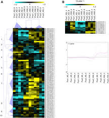 A downlight has three main components: Transcriptional Profiling Of Three Pseudomonas Syringae Pv Actinidiae Biovars Reveals Different Responses To Apoplast Like Conditions Related To Strain Virulence On The Host Molecular Plant Microbe Interactions