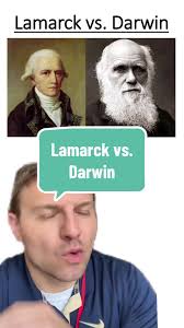 Darwin Vs Bread