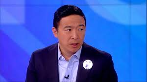 However, there are several factors that affect a celebrity's net worth, such as taxes, management fees, investment gains or losses, marriage, divorce, etc. Andrew Yang Net Worth Funny Minions Memes