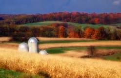 Image result for course hero, which of the following is a disadvantage of industrial agriculture?