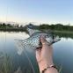 Fishing's Future: Introduction to Fishing (Ages 7-9)