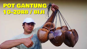 Hal yang perlu diingat adalah kumpulkan sabut kelapa yang sudah dikeringkan. Cara Membuat Pot Sabut Kelapa Gantung Youtube