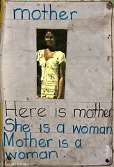 Image result for Megalochlamys hamata