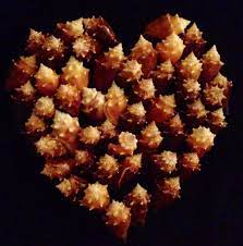 We did not find results for: Fighting Conch Fighting Conch Shell Crafts Seashell Crafts