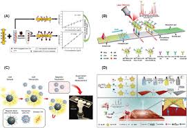 Papa moll in der werkstatt. Recent Trends In Electrochemical Sensors For Vital Biomedical Markers Using Hybrid Nanostructured Materials Reddy 2020 Advanced Science Wiley Online Library