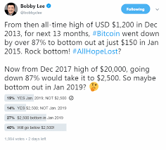 However, 52% believed that bitcoin would record a big loss after significant increases in 2021. Bitcoin Btc Could Rally Upto 333k By December 2021 After Reaching 2 500 In January 2019 Bobby Lee Ambcrypto News Business Telegraph
