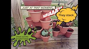 Alibaba.com offers 387 decorative stackable planters plastic products. 18 Plant Vertical Garden 3 Tier Stackable Planter Dollar Tree Diy High End Dupe Your Gardening Forum