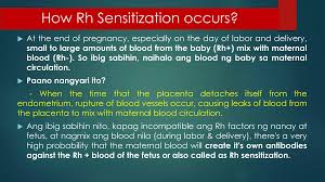 Image result for Rh Sensitization