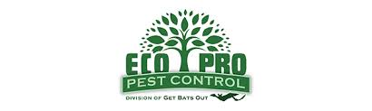 We're dedicated to finding the right long term solution to keep your home pest free. Amazon Com Rat Bait Stations 2 Pack Weather And Tamper Resistant For Indoor Outdoor Rodent Control Refillable W 2 Locks And Key Cruelty Free Alternative To Rat Mouse Traps Safe