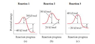 I do know that the activation energy for the reverse reaction is larger than. Solution The Potential Energy Profiles Fo Clutch Prep