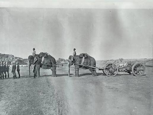 Heavy Artillery Batteries of the Indian/British Army in 1895 - BMSS Online