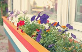 We offer a number of decorative designs to add to the style of your garden, making sure that it looks great all year round. 40 Window And Balcony Flower Box Ideas Photos Home Stratosphere